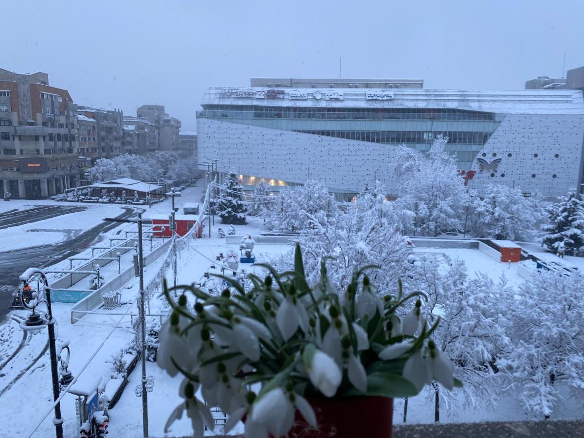 Sweet Cozy Ultracentral Κραϊόβα Εξωτερικό φωτογραφία